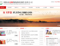 浏阳市德顺鞭炮烟花制作有限公司